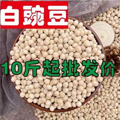 大白豌豆喂鸽子鸽粮酿酒豌豆5斤10斤大白豌豆100斤批发散装鸽子粮