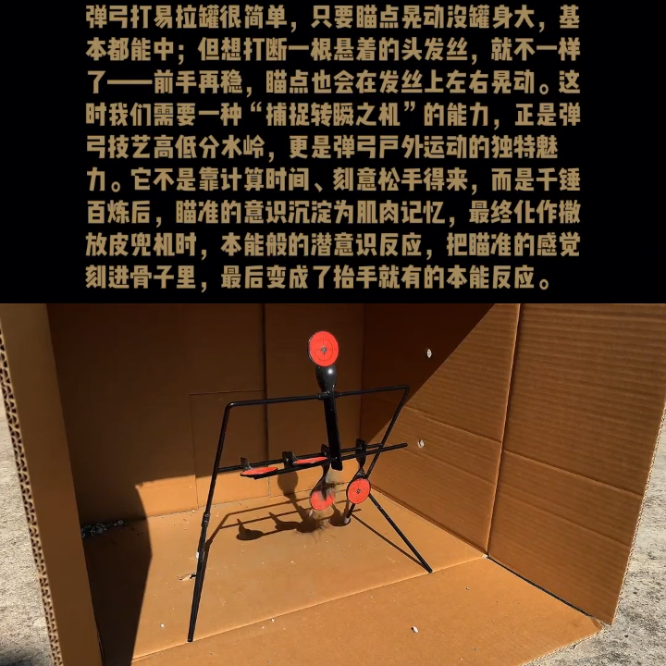 顶卡弹弓瞄点教程跨境金属铁靶快拆板旋转4位IDPA 职业射击培训靶