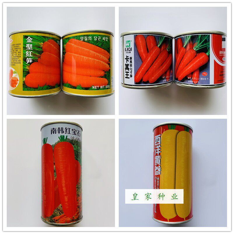 胡萝卜种子南韩红宝石卡其王新黑田七寸参西洋黄参金圣红笋杂种籽