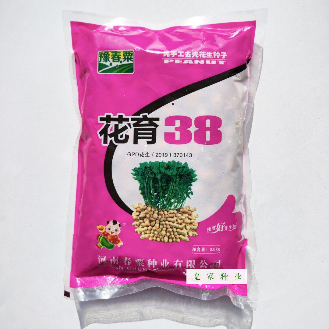 花育38大粒花生种籽皮粉红色高产抗病出油多手工去壳春播花生种子
