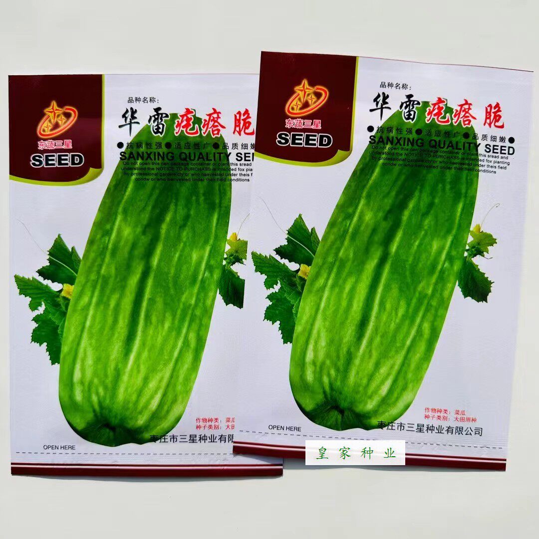 华雷疙瘩脆菜瓜种子酥脆瓜类型香嫩可口酥瓜种籽老品种甜瓜种春季