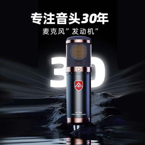AYMA6PRO电容麦克风