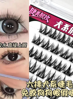 免胶30簇犬系睫~懒人小奶狗漫画眼睫毛假睫毛超自然新手果冻胶