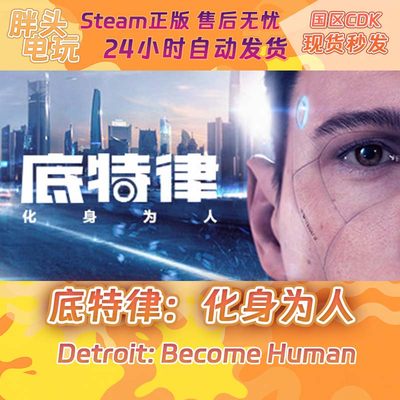 PC正版Steam国区KEY 底特律：化身为人 Detroit: Become Human