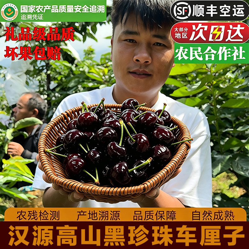 四川汉源黑珍珠车厘子应季新鲜礼盒装顺丰空运孕妇水果汶川甜樱桃