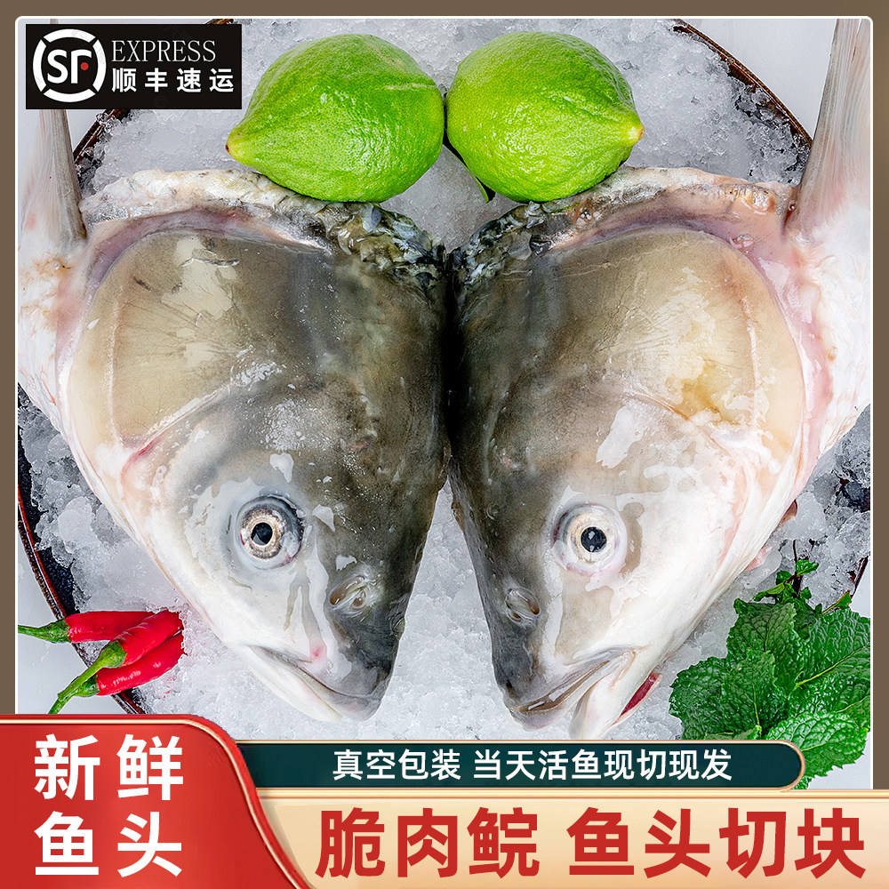 中山特产脆肉鲩鱼头鲜活现处理