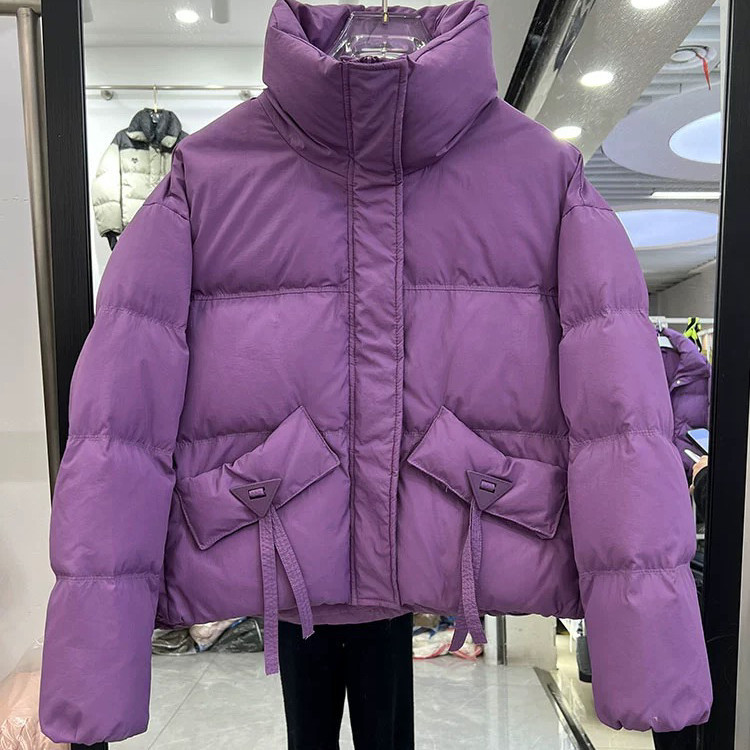 冬季新款立领羽绒服女短