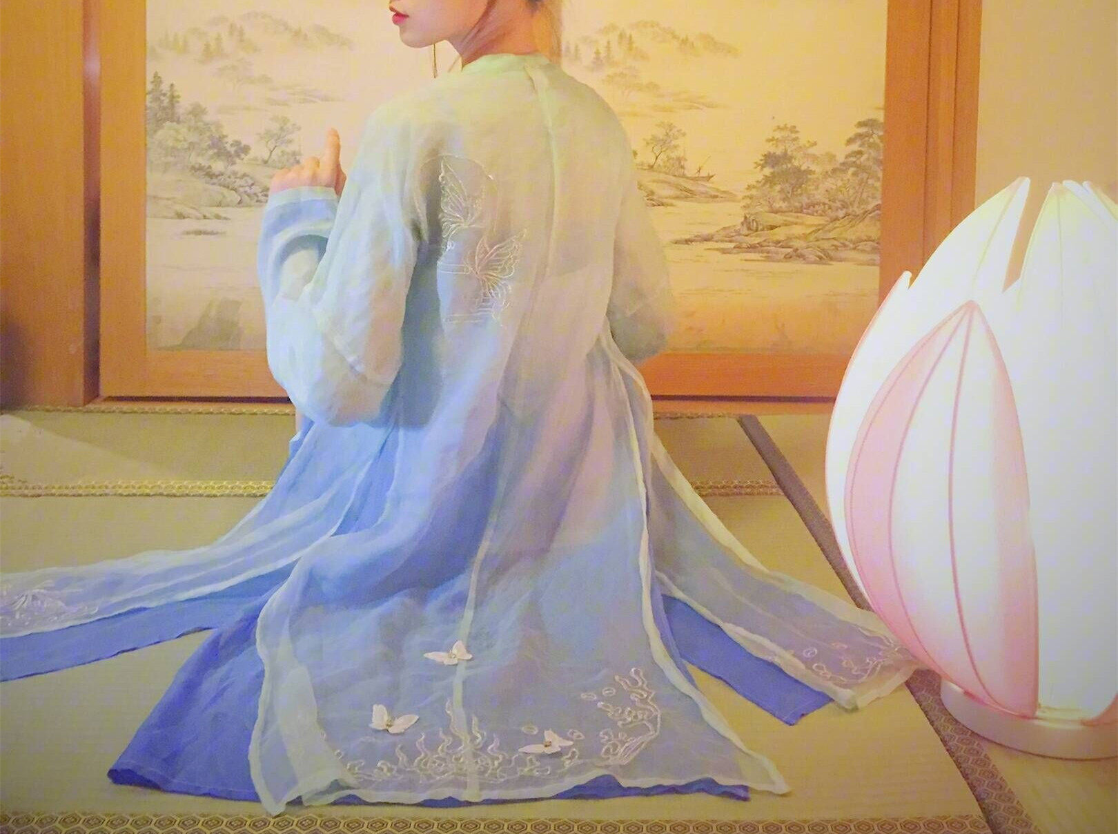 现货梁祝叠穿宋褙子宋裤宋抹蝴蝶刺绣渐变大全套