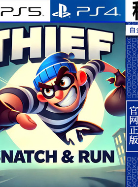 Thief Snatch & Run PS5 PS4游戏出租 数字下载版 带认证