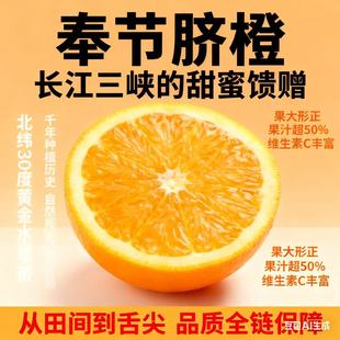 正宗重庆奉节脐橙10斤整箱广柑新鲜水果鲜橙汁过年货特产产地直发