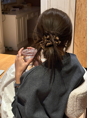 韩系博主同款豹纹布艺大肠发圈女高级感扎头发圈头绳发饰丸子头