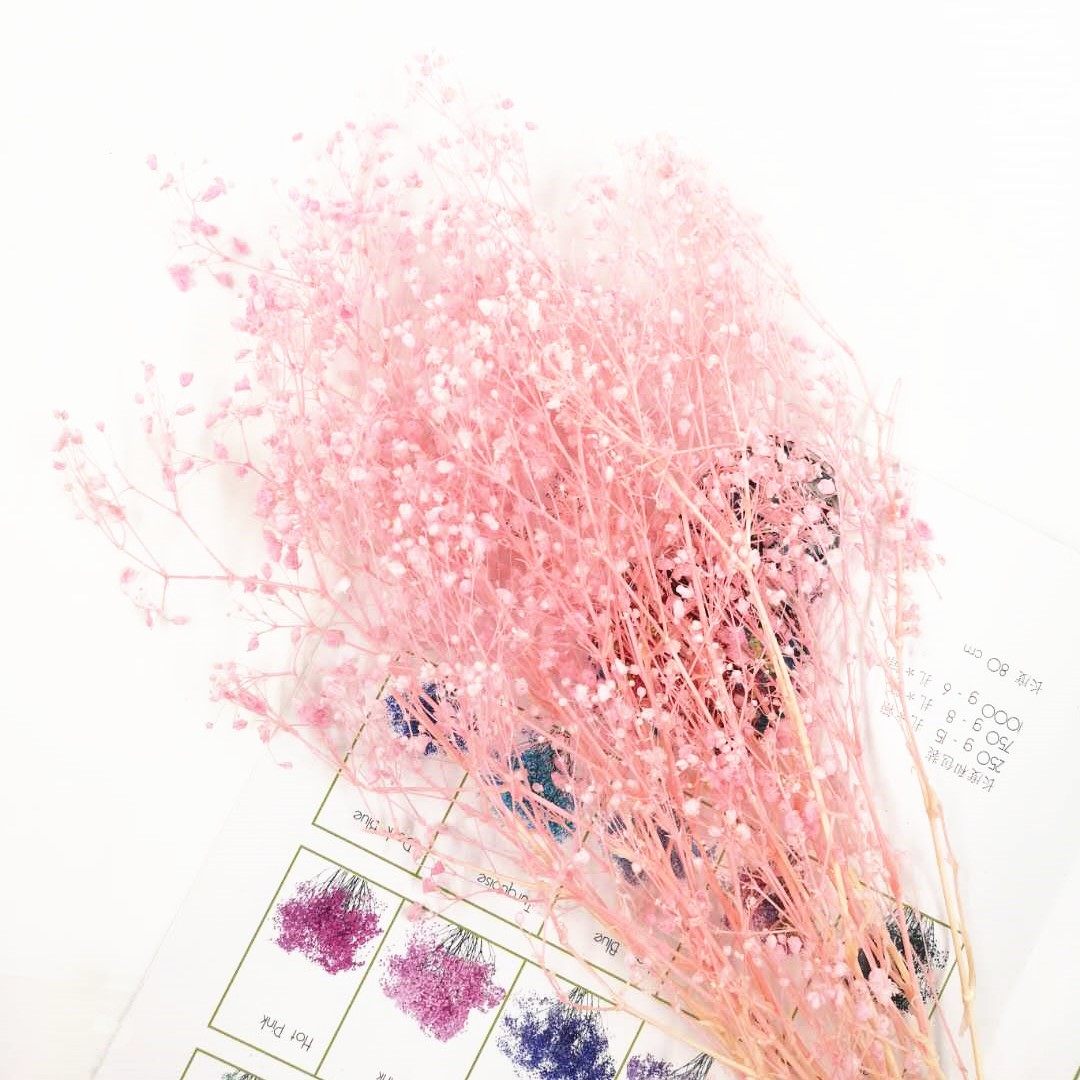 永生国产百万星满天星配材居家摆设拍照道具花球DIY花材包材料在类目 鲜花速递/花卉仿真/绿植园艺, 永生花/干花, 永生花中 - 来自Buy2taobao.com提供专业的淘宝代购服务