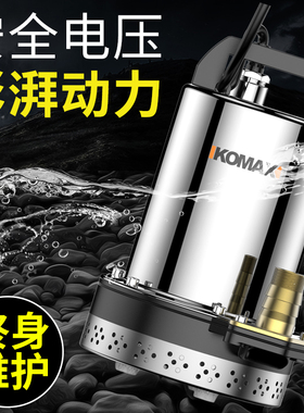 直流潜水泵高扬程12V24V48V60V伏家用电瓶车抽水泵农用小型抽水泵