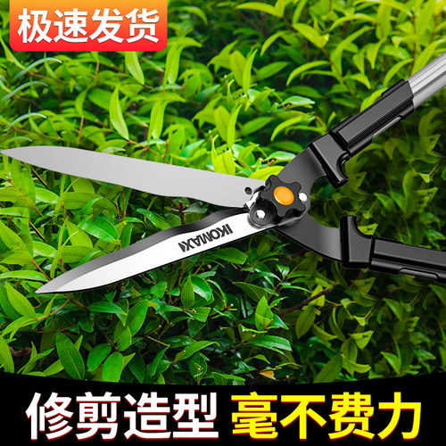 绿篱剪园艺修花强力树枝草坪