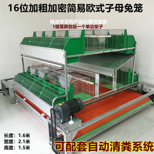 16位简欧子母兔笼种兔笼专用自动清粪繁殖新款欧式兔笼繁殖兔笼子