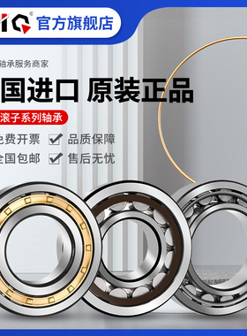 进口EIQ轴承NU NJ N NUP 1009 1010 1011 1012  EC ECP ECM EM C3