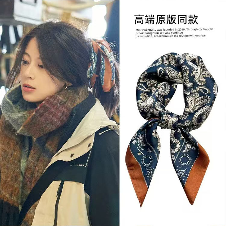 花儿与少年赵昭仪同款丝巾发巾高级感百搭款腰果发饰头饰花少冰岛