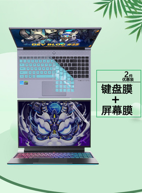 16寸机械师曙光16Pro笔记本键盘膜L16P防尘套电脑按键保护垫防蓝光钢化膜护眼屏幕贴膜
