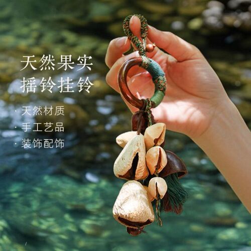 果实摇铃天然果壳包包挂件风铃手工植物豆荚背包车挂生日礼物朋友