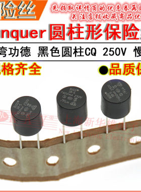 黑色圆柱保险丝管 T315MA 400MA 500MA 800MA 1A 1.25A 1.6A/250V