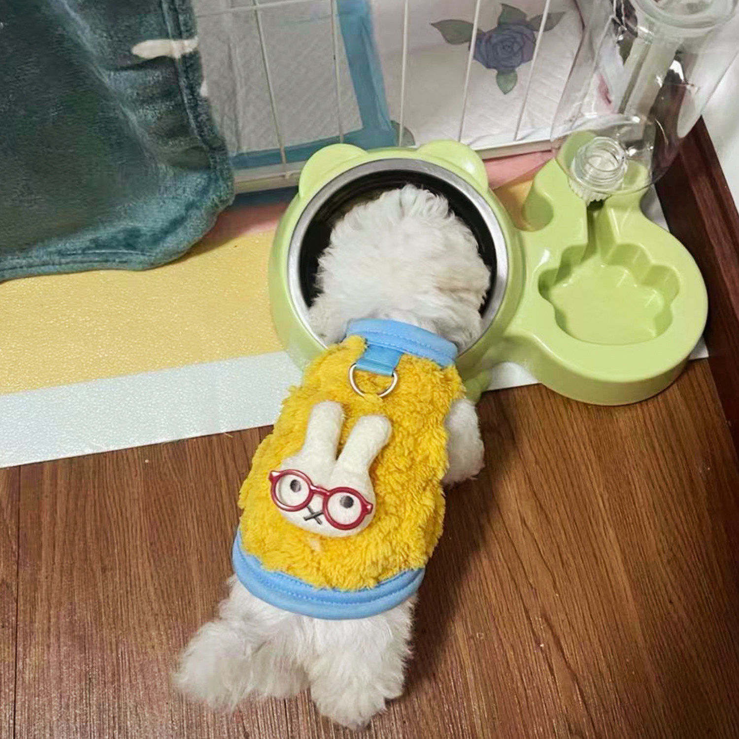 幼猫奶狗衣服可爱比熊猫咪加厚保暖加绒冬装幼犬牵引扣背心小型犬