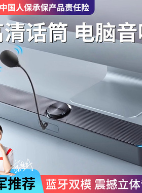 SADA电脑音响带麦克风一体家用台式小型音箱笔记本有线迷你长条式