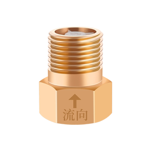 单向止回阀卫生间水管马桶防反水回水倒流4分止逆阀热水器逆止阀