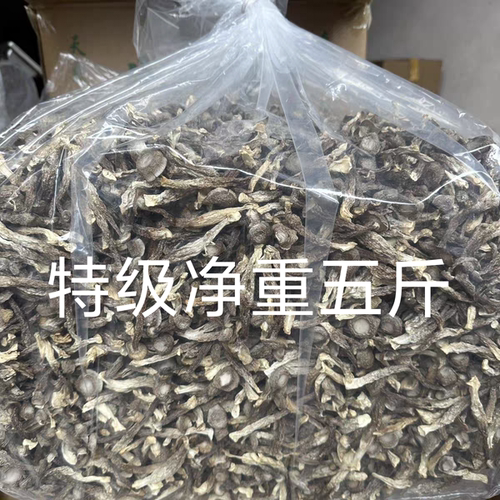 鹿茸菇干货净重5斤特级A菇中条鹿茸菌无硫新货蘑菇干香菇厂家直销