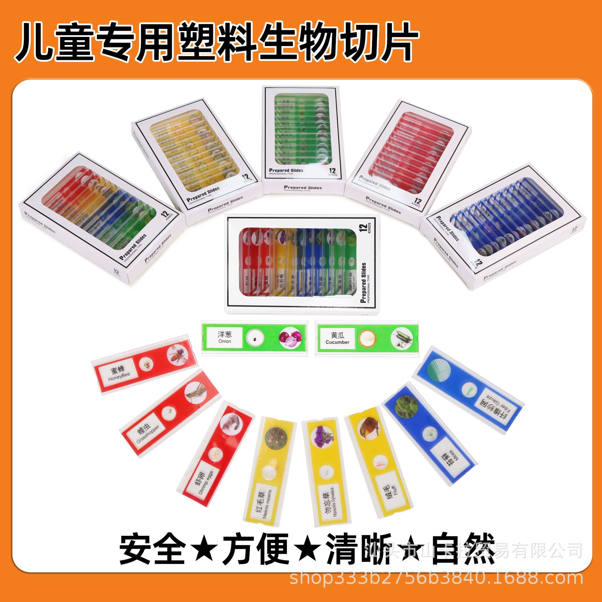 跨境动物昆虫标本植物蔬菜载玻片小学生科学实验儿童科教玩具益智