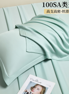 A类100支天丝枕套夏季凉感一对装冰丝枕头套纯色真丝枕巾枕芯套