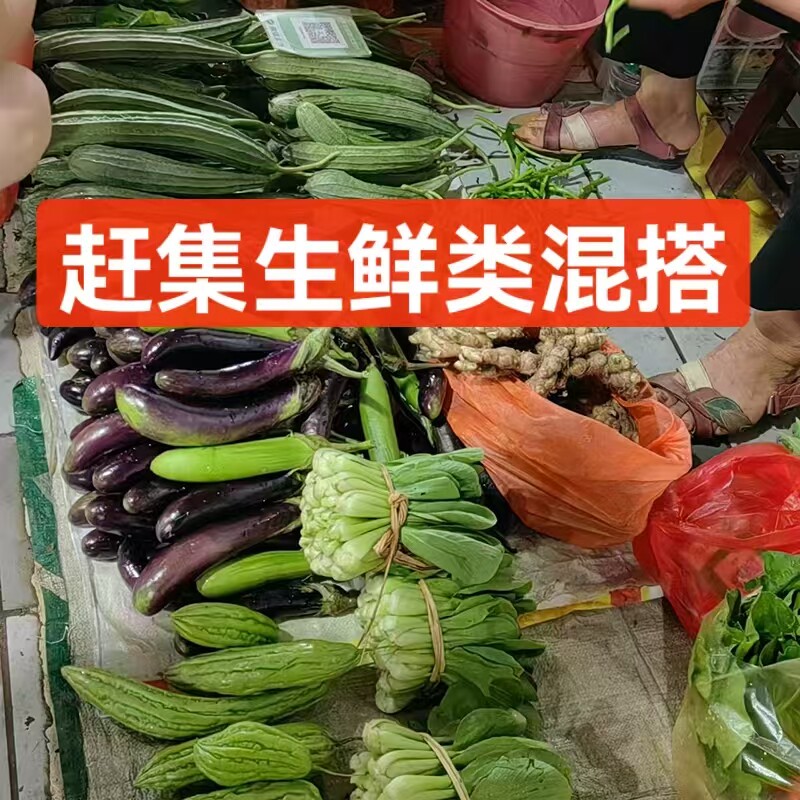 南雄新鲜蔬菜组合茄子黄瓜苦瓜秋辣椒
