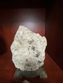 燕子石三叶虫工艺品办公室古生物礼品收藏品科普标本书本高级摆件