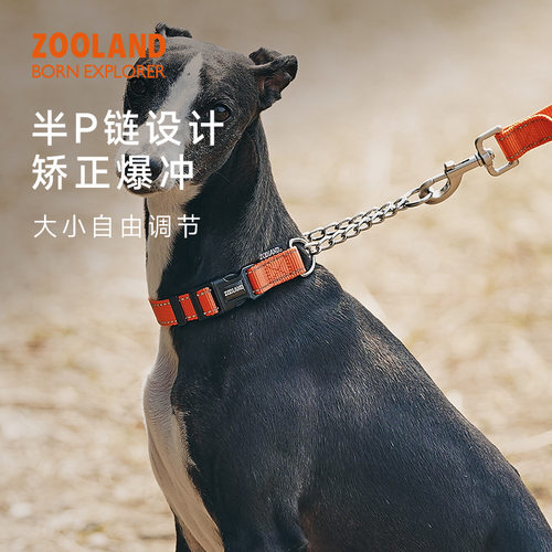 ZOOLAND狗狗半P链项圈防爆冲遛狗小中大型犬训练脖圈牵引绳套装