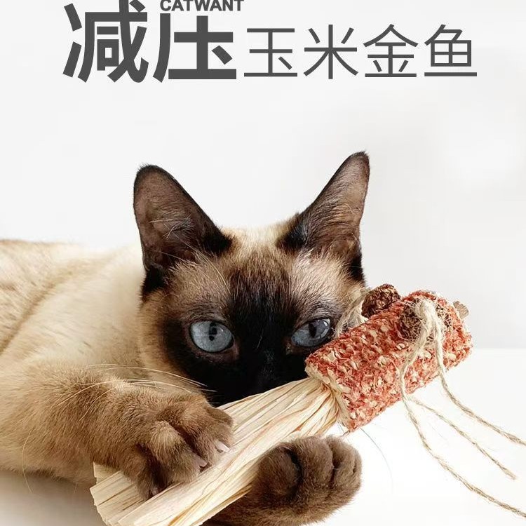 猫咪旺农场虫瘿果猫薄荷金鱼