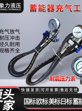 蓄能器充气工具CQJ25MPA折弯机充气工具液压剪板机充氮工具配油表