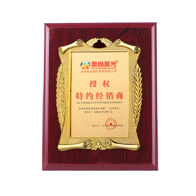 实木金箔奖牌定制定做木托授权牌木质荣誉牌公司代理牌匾铜牌奖杯