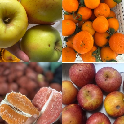 试吃品尝新鲜水果原产地一手货源