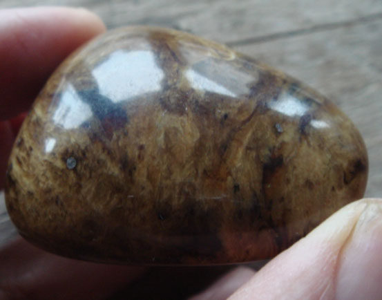 缅甸天然琥珀花珀19.3克抛光珀根原石26