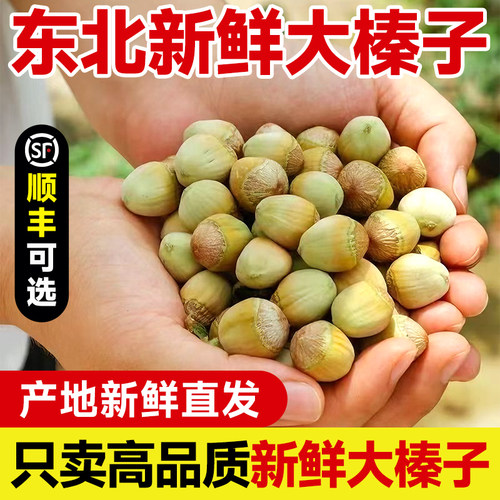 新鲜大榛子绿皮榛子新鲜应季现摘