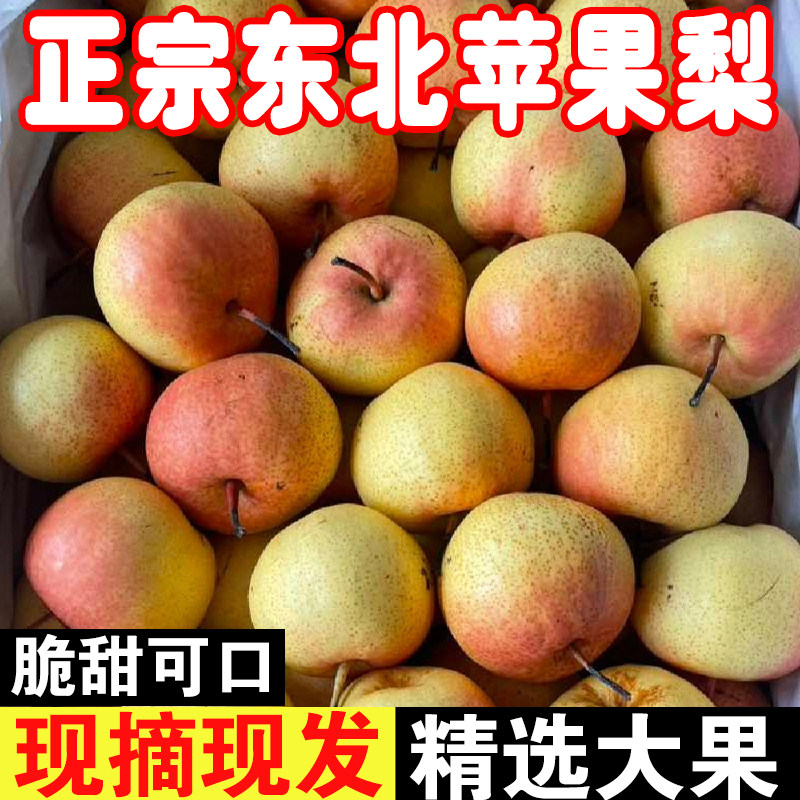 正宗苹果梨新鲜应季水果当季现摘现发孕妇时令水果脆甜多汁整箱邮,水产肉类/新鲜蔬果/熟食,梨,淘宝优惠券,粉丝福利购,淘宝优惠卷