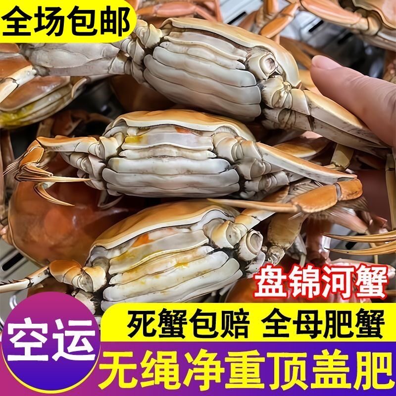 正宗盘锦河蟹稻田螃蟹特大六月黄鲜活大闸蟹新鲜海鲜活蟹顺丰包邮