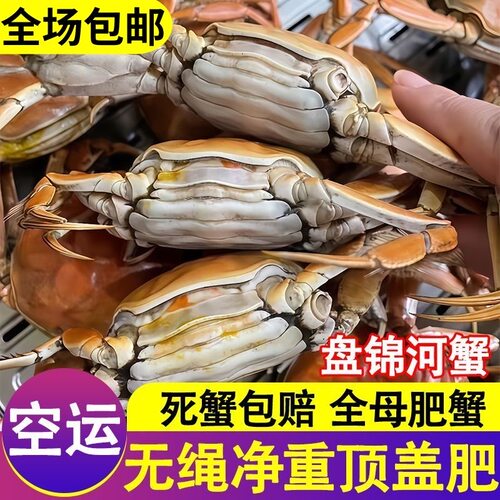 正宗盘锦河蟹稻田螃蟹特大六月黄鲜活大闸蟹新鲜海鲜活蟹顺丰包邮