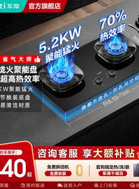 华帝燃气灶i10309煤气灶双灶家用天然气液化气猛火炉灶官方旗舰店