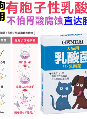 现货日本GENDAI现代 宠物狗狗猫咪乳酸菌益生菌维护肠胃健康
