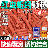 钓鱼专用红虫蚯蚓颗粒打窝料散装 皮筋颗粒野钓鲫鱼鲤鱼通杀鱼饵料