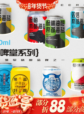 牛啤堂NBeer帝都海盐古斯酸啤果味小麦IPA国产精酿330ml1罐/6罐装