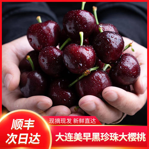 包甜包脆大连美早樱桃顺丰空运包