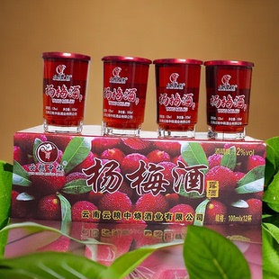 云粮中烧杨梅酒100ml*12口杯12度低度女士酒果酒杨梅酒酸甜酒