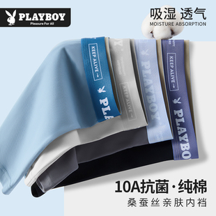 内裤 10A抗菌平角裤 纯棉男生2025新款 男款 衩 四角短裤 花花公子男士