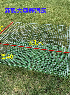 兔子笼鸽子养殖笼鸡笼家用养鹅笼铁丝网片组装笼运输笼大号子母笼